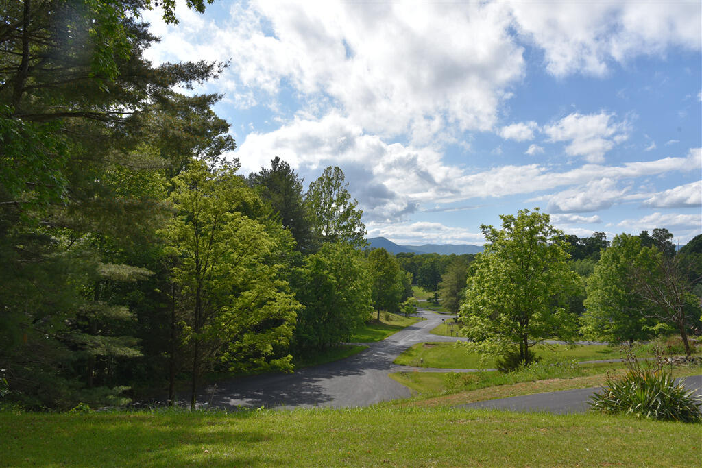 102 Keswick Farm Road Troutville, VA 24175 - Photo 29 of 29 a view of a big yard with lots of green space