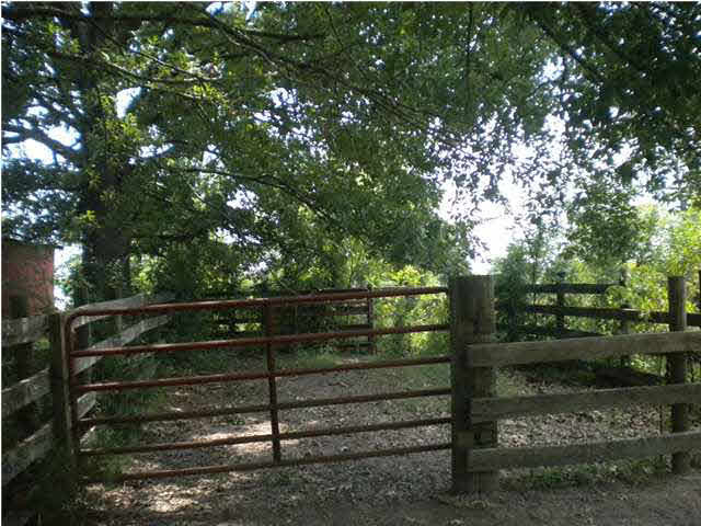 1145 Stump Ridge Road Brandon, MS 39047 - Photo 13 of 17 Horse pens