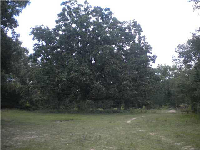1145 Stump Ridge Road Brandon, MS 39047 - Photo 15 of 17 Photo 15