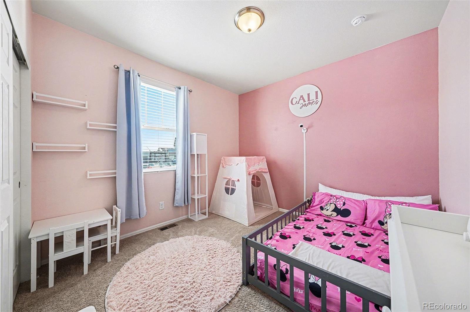 910 Pierson Court Windsor, CO 80550 - Photo 18 of 42