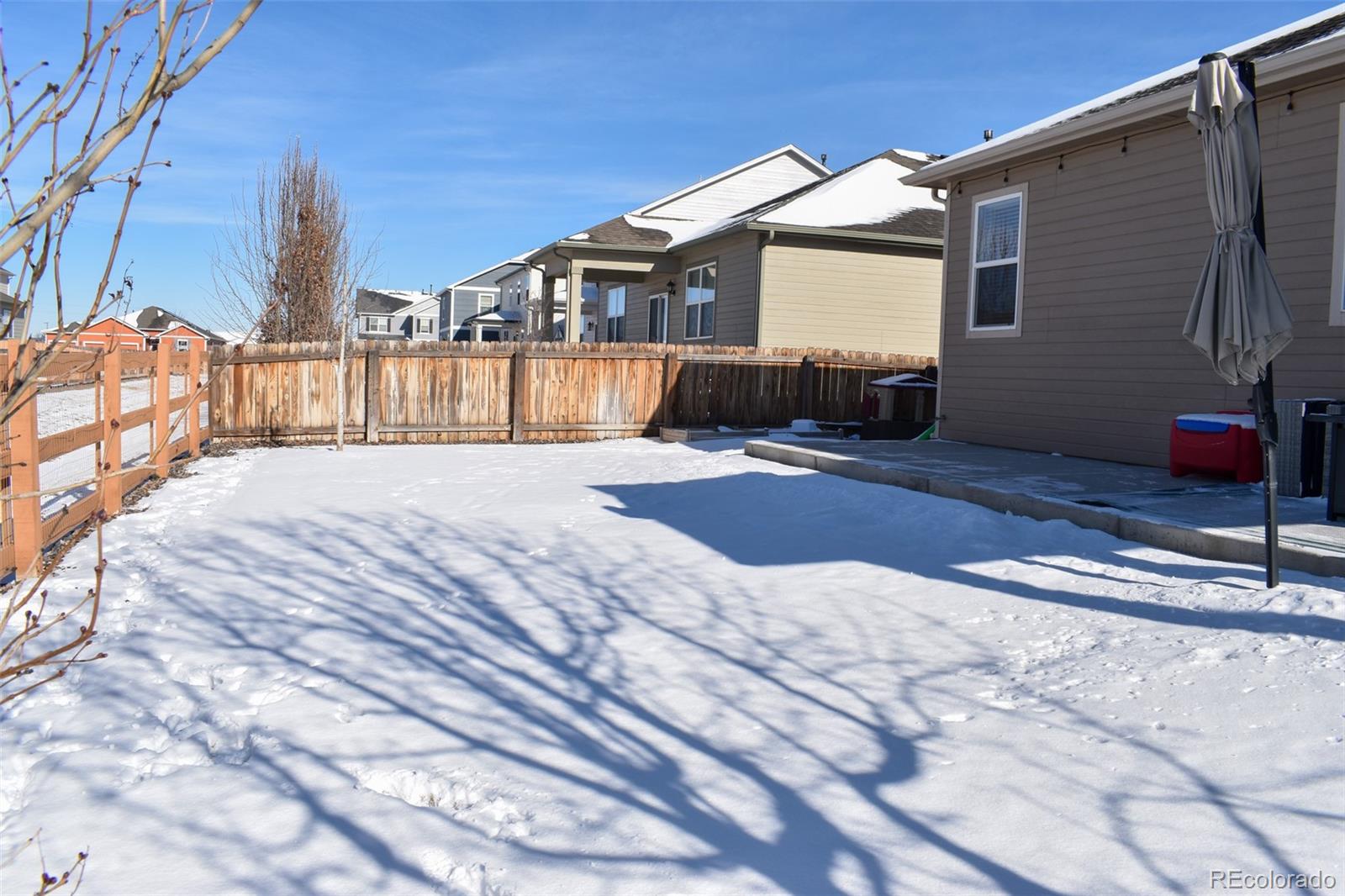 910 Pierson Court Windsor, CO 80550 - Photo 29 of 42