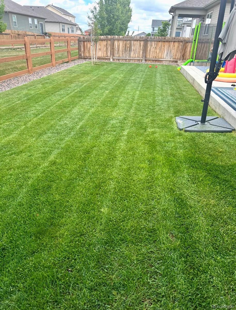 910 Pierson Court Windsor, CO 80550 - Photo 31 of 42