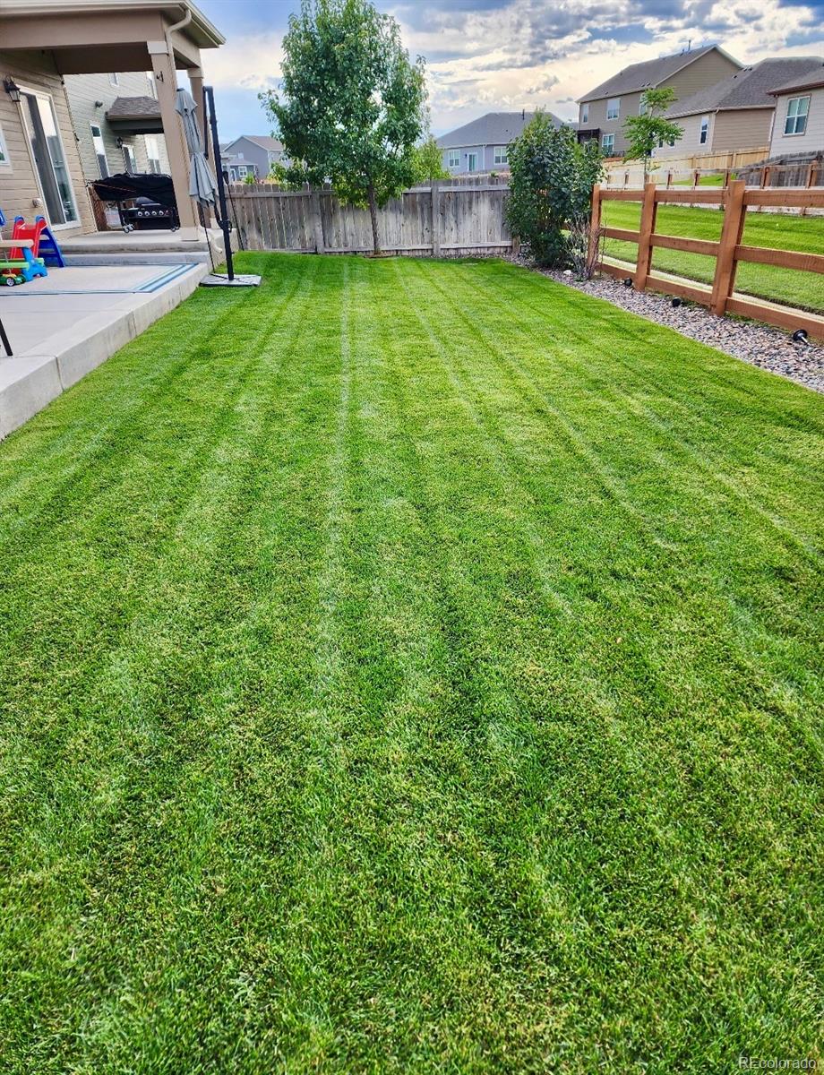 910 Pierson Court Windsor, CO 80550 - Photo 32 of 42