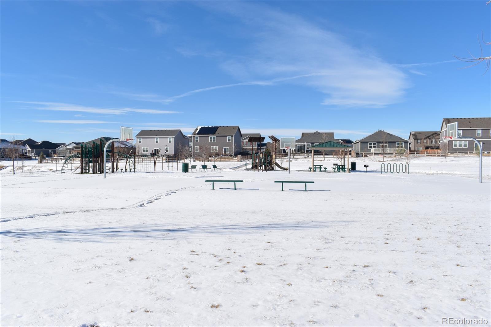 910 Pierson Court Windsor, CO 80550 - Photo 33 of 42