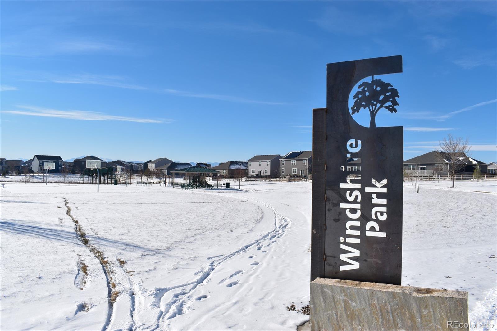 910 Pierson Court Windsor, CO 80550 - Photo 34 of 42