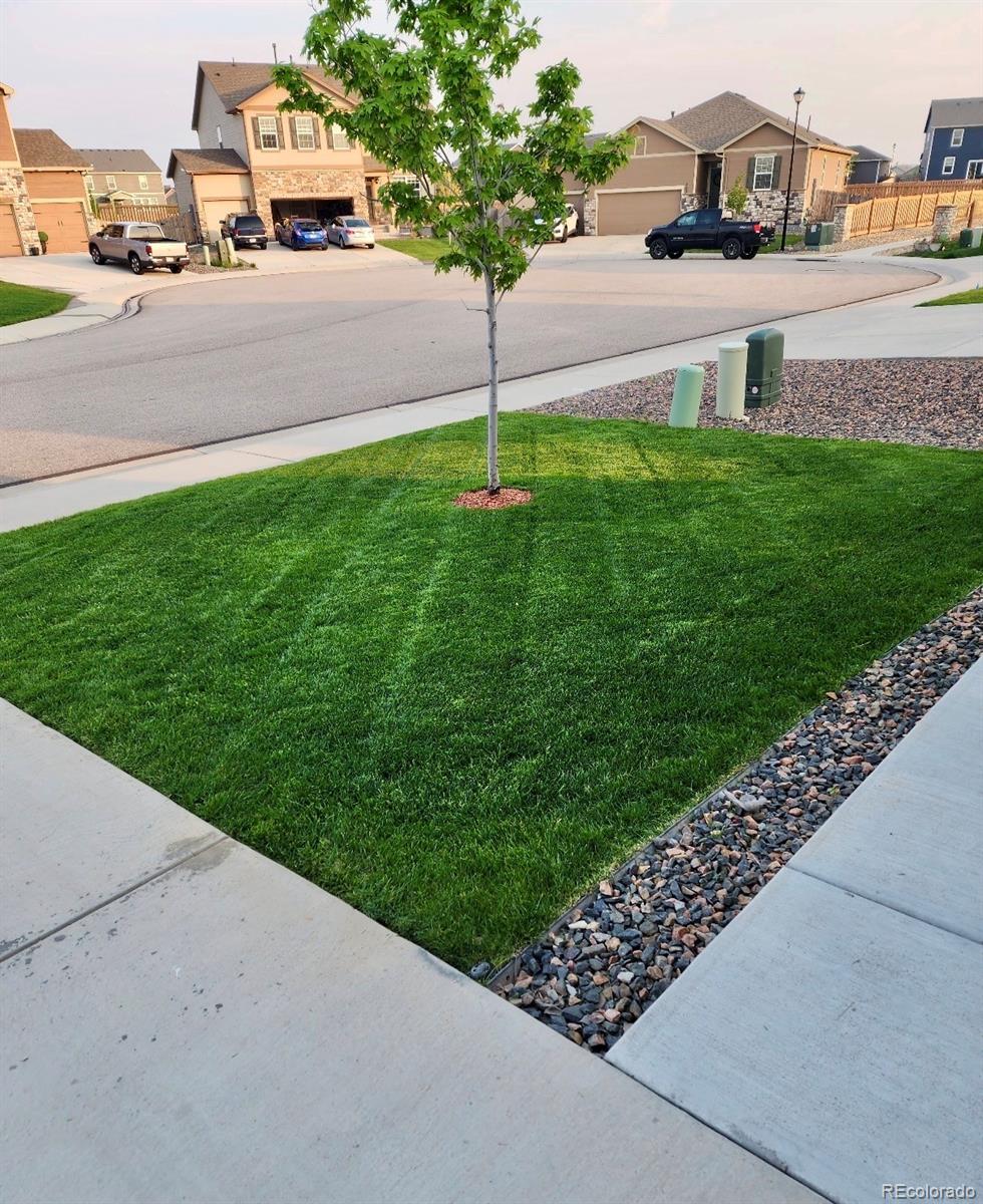 910 Pierson Court Windsor, CO 80550 - Photo 4 of 42 a house with a yard and a car parked on the road