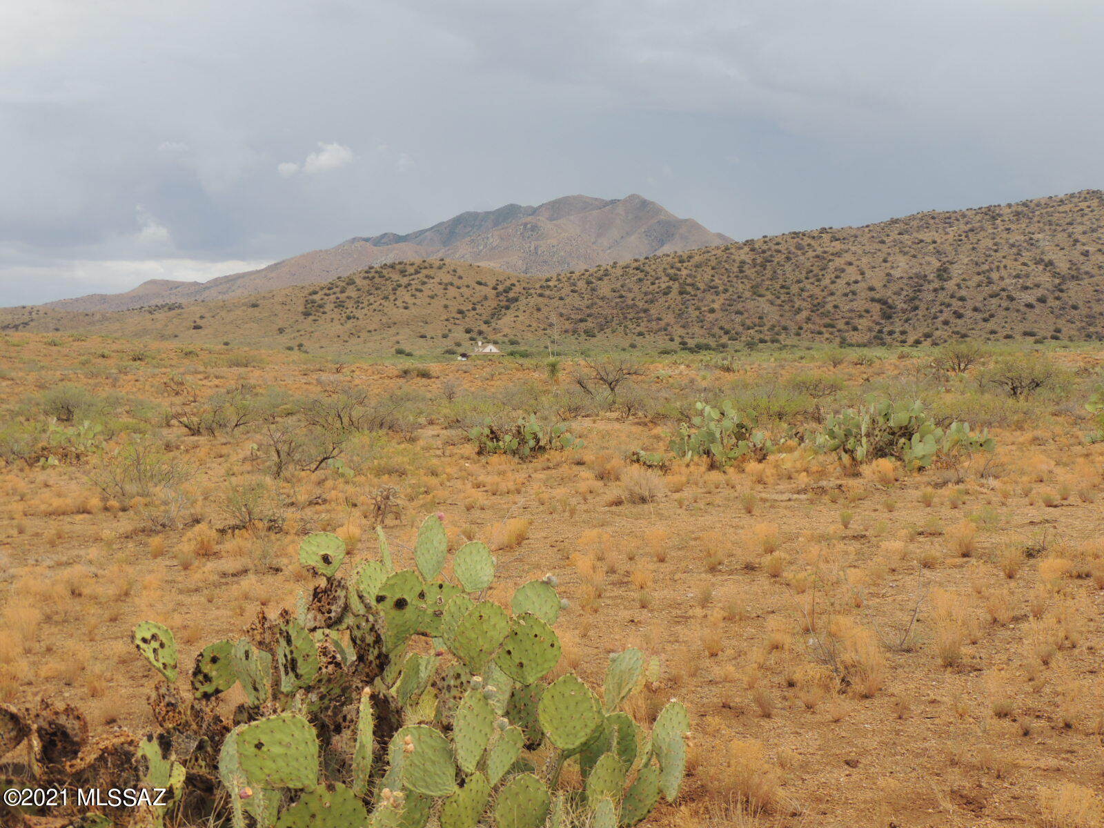 40.82 Acres Mulkins Ranch Road, Unit 11 Bowie, AZ 85605 - Photo 3 of 17