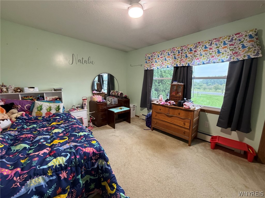 8418 Chestnut Ridge Road Royalton, NY 14067 - Photo 27 of 44 Gallery Image 27