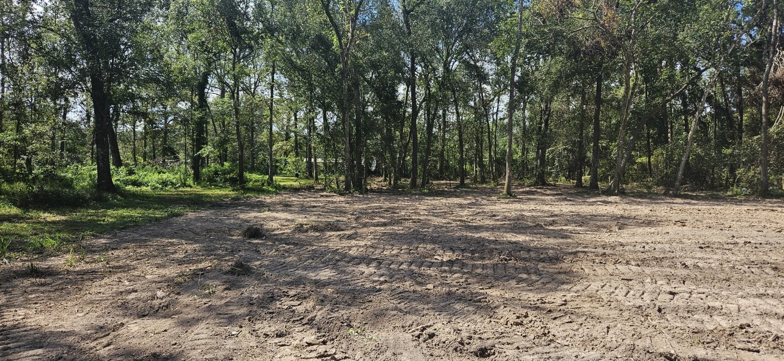 a view of outdoor space with trees