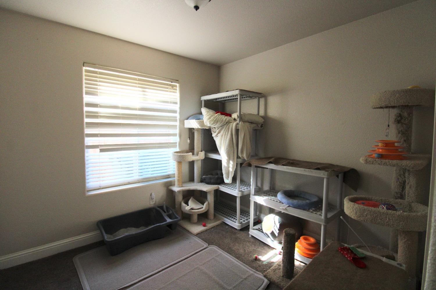 554 St Michelle Drive Madera, CA 93637 - Photo 14 of 19 a room with furniture and a window