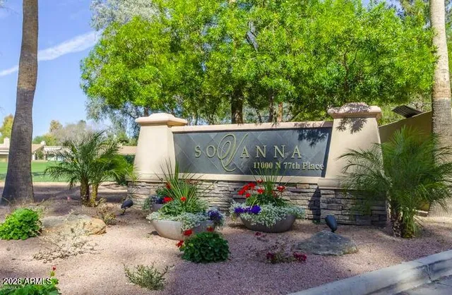 a street view with plants and trees