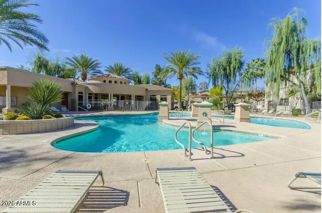 a view of a swimming pool with lawn chairs plants and palm trees