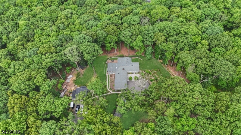 246 Mt Harmony Road Bernardsville, NJ 07924 - Photo 2 of 47