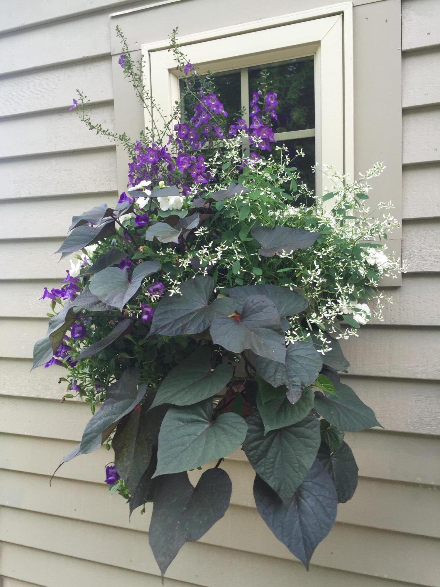 6 Ledge Hill Road Sweden, ME 04040 - Photo 65 of 67 Photo Sep 09 2016, 4 47 56 PM
