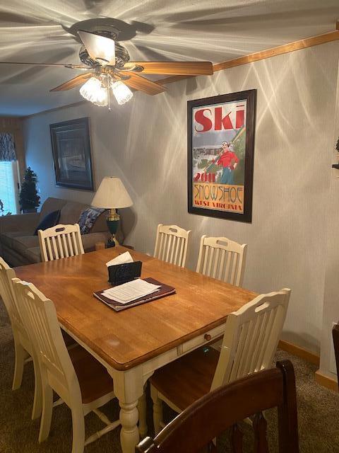 35 Powderidge Road Snowshoe, WV 26209 - Photo 3 of 11 Gallery Image 3