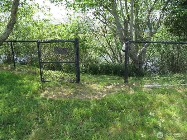 a view of a yard with a tree