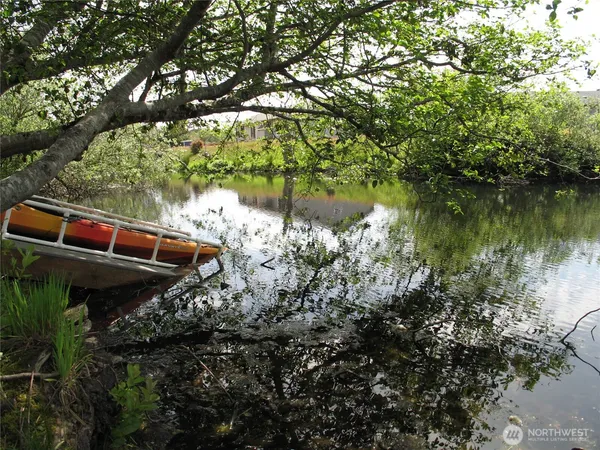 a view of a park with tree s