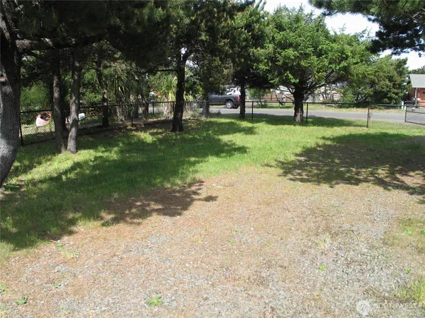a view of a yard with a tree
