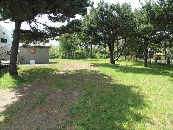 a view of a tree in a yard
