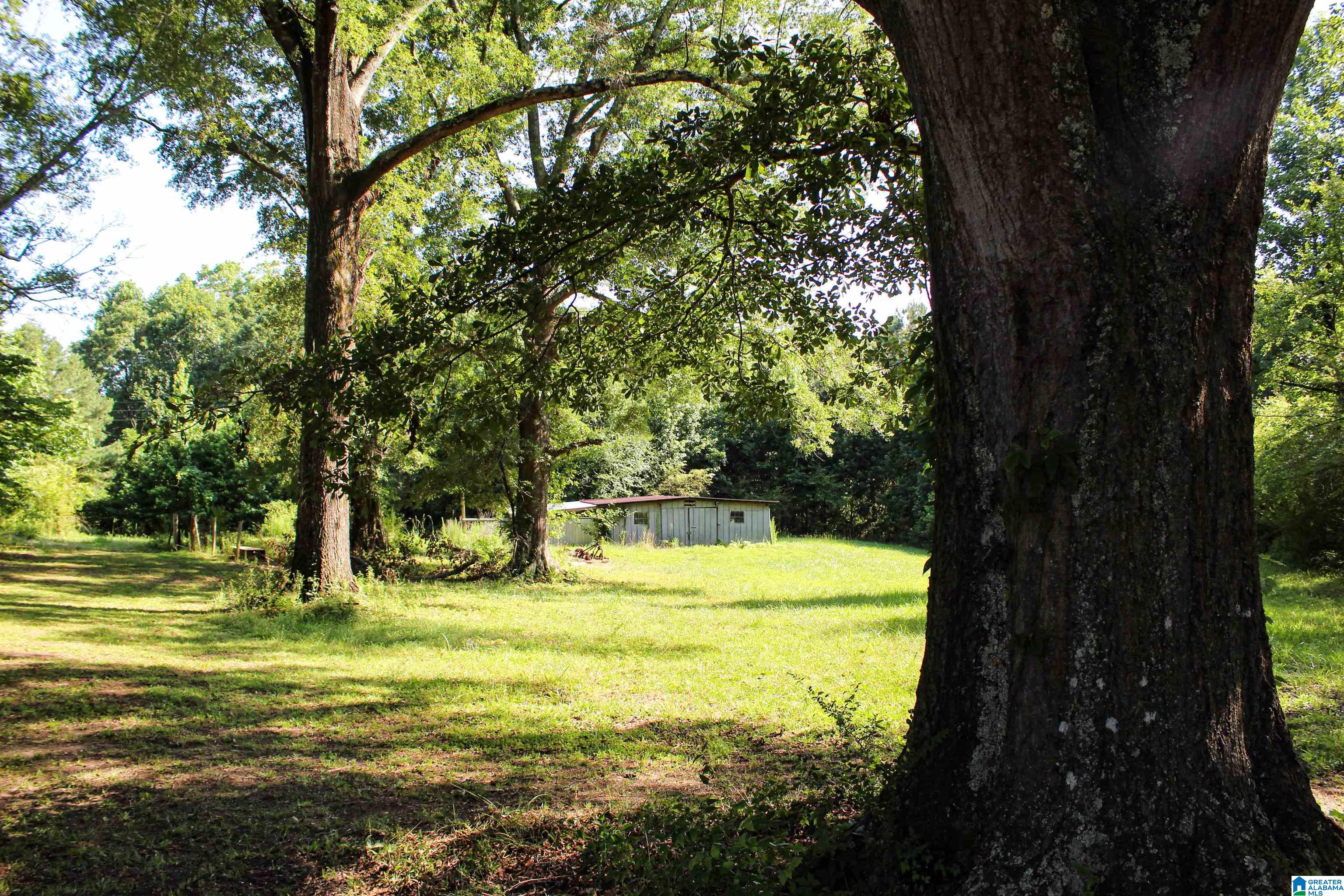 0 Aaron Road Jasper, AL 35501 - Photo 13 of 44