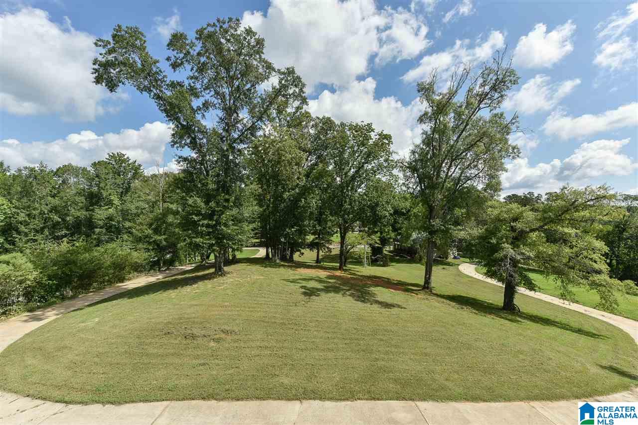253 Fox Valley Farms Road Alabaster, AL 35114 - Photo 37 of 50