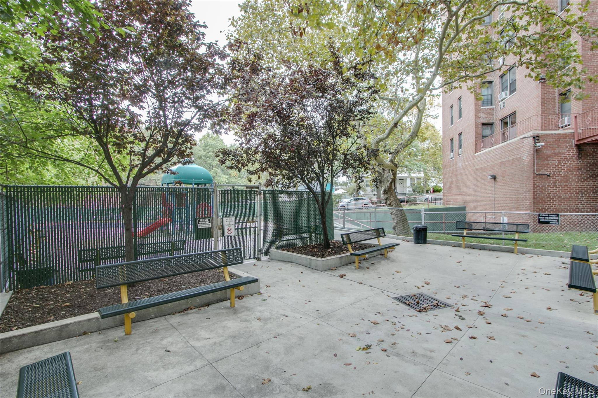 139-15 83rd Avenue, Unit 305 Queens, NY 11435 - Photo 20 of 21 a view of backyard with wooden fence and a large tree