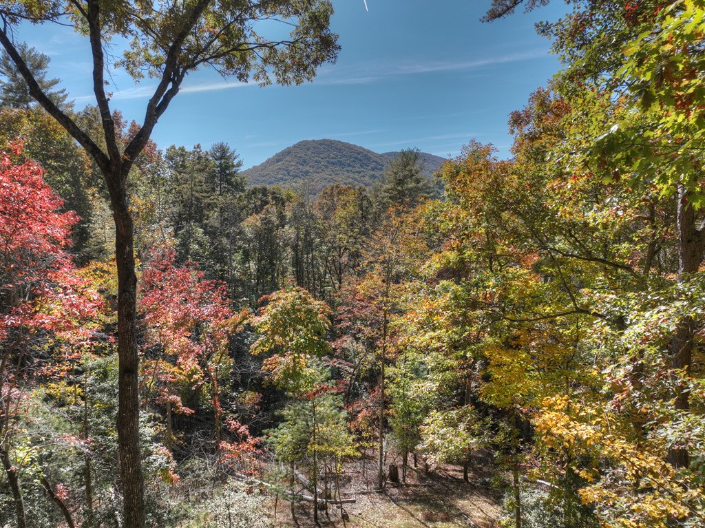 211 Little Creek Trail Blue Ridge, GA 30513 - Photo 25 of 73 Gallery Image 25