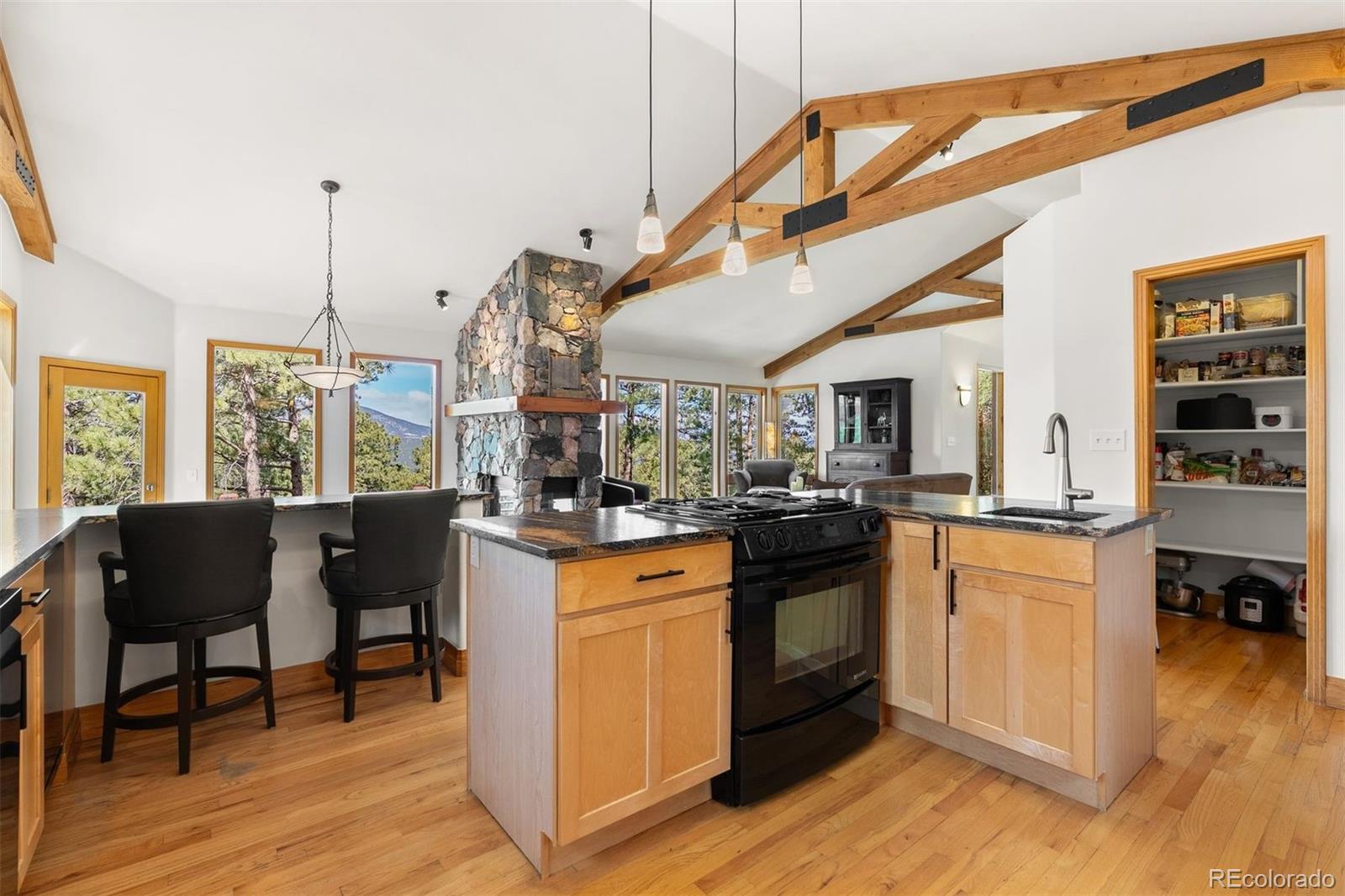 5811 Herzman Drive Evergreen, CO 80439 - Photo 16 of 49 a kitchen with stainless steel appliances granite countertop a stove and cabinets