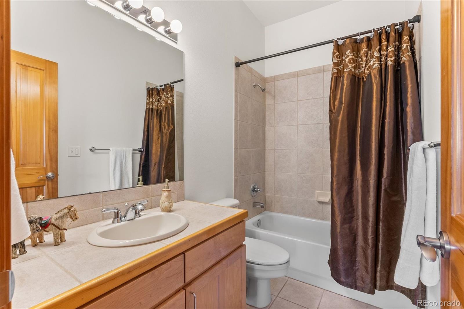 5811 Herzman Drive Evergreen, CO 80439 - Photo 33 of 49 a bathroom with a sink toilet and shower