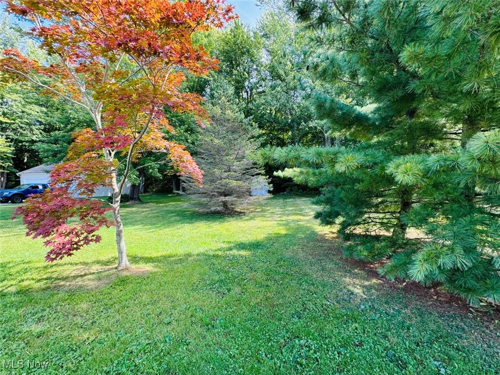 1467 Bennett Road Madison, OH 44057 - Photo 9 of 26 View of yard