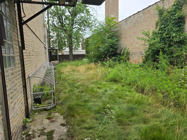 a backyard of a house with lots of green space