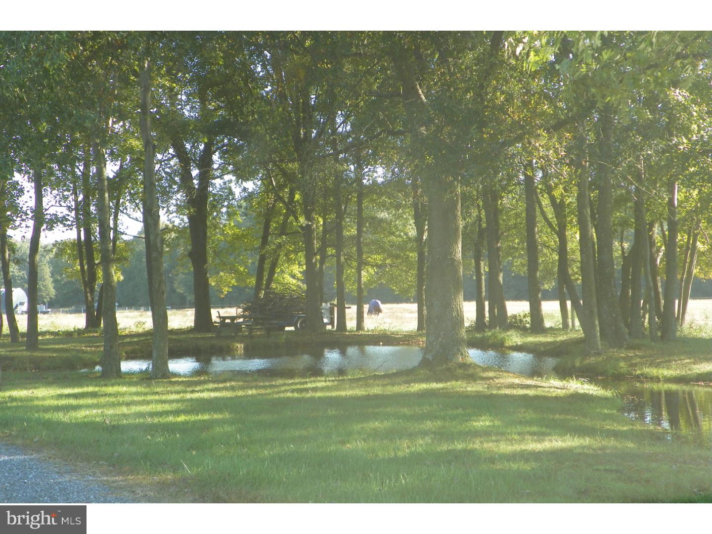 5332 Halltown Road Hartly, DE 19953 - Photo 3 of 23 Gallery Image 3