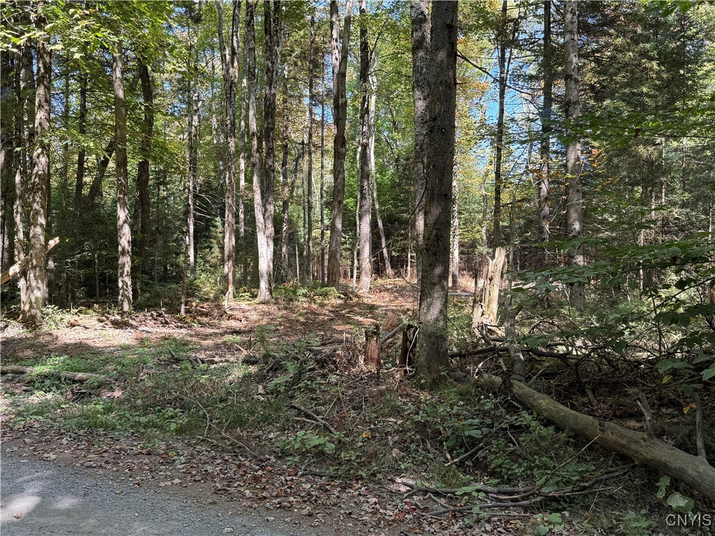 Lot #1 Beaver Trail Remsen, NY 13438 - Photo 5 of 10