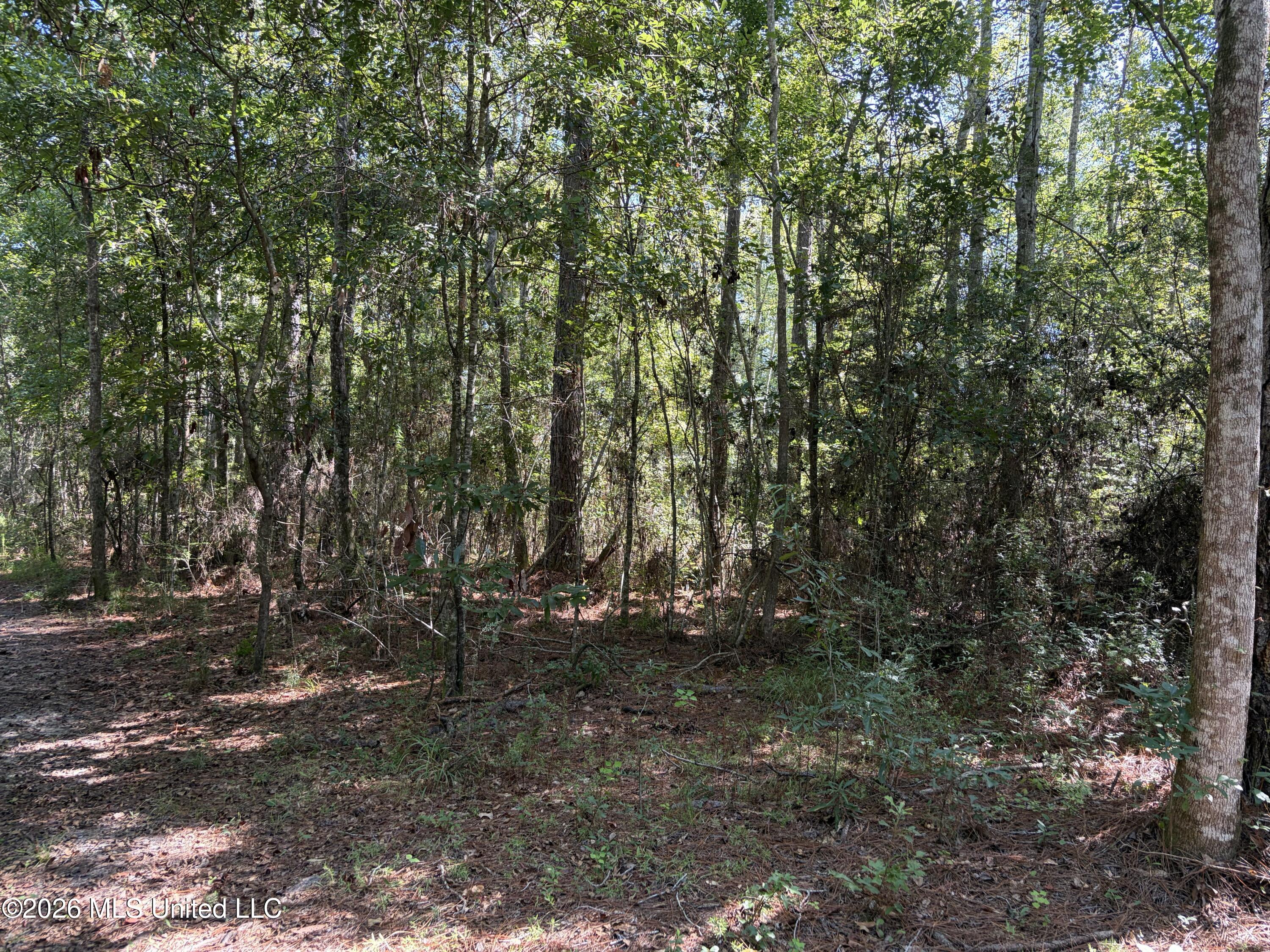 Rayford Shumock Road Moss Point, MS 39562 - Photo 31 of 40 IMG_4494