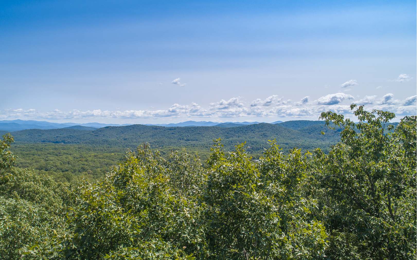 0 Mull Valley Road Morganton, GA 30560 - Photo 3 of 4 Additional View