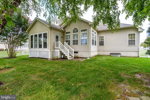 a tree in the grass next to a tree