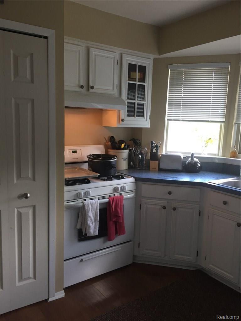 45066 Rector Drive Canton, MI 48188 - Photo 10 of 26 IMG-4851.JPG