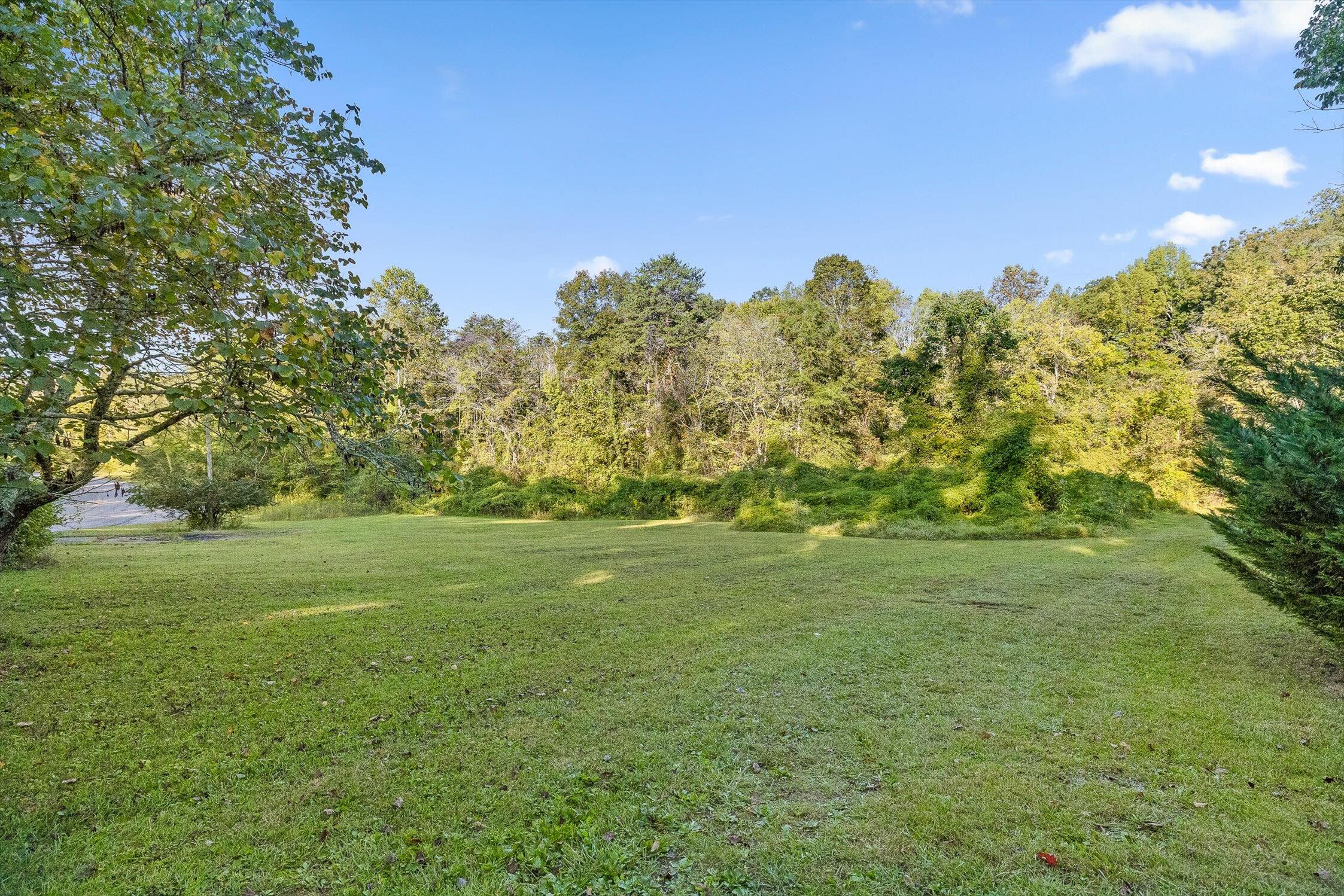 1612 Lula Lake Road Lookout Mountain, GA 30750 - Photo 7 of 14 07-Lula Lake-7