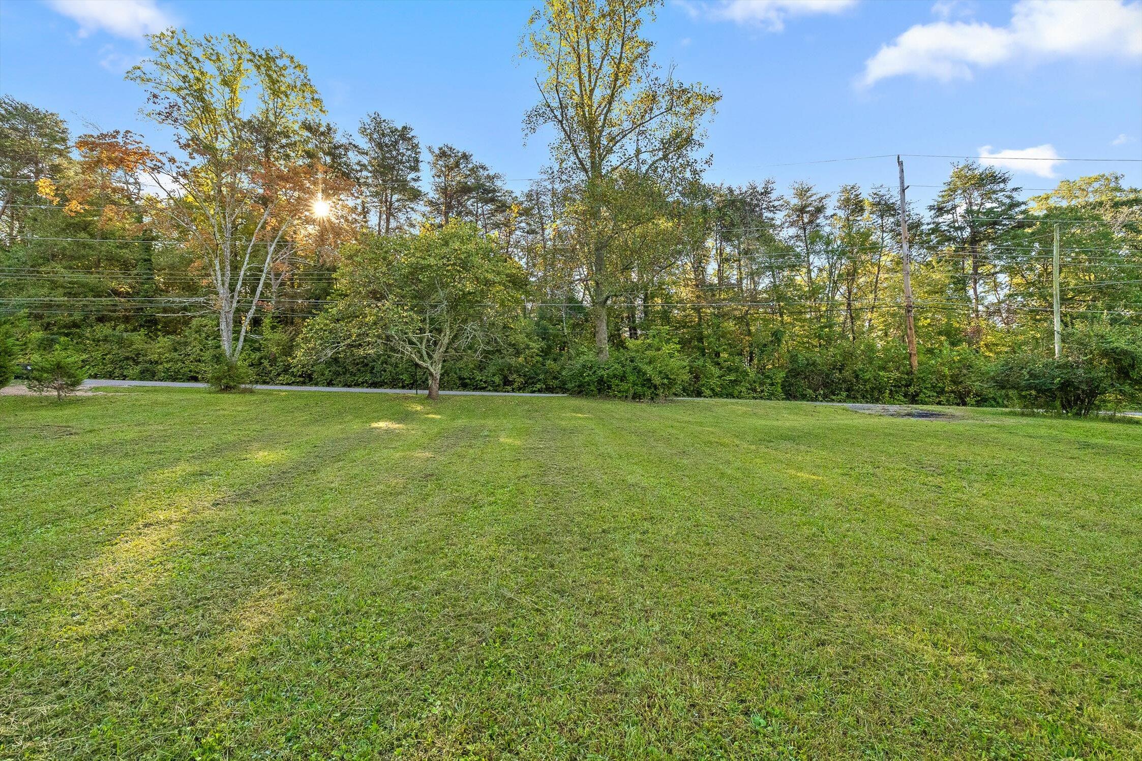 1612 Lula Lake Road Lookout Mountain, GA 30750 - Photo 10 of 14 10-Lula Lake-10