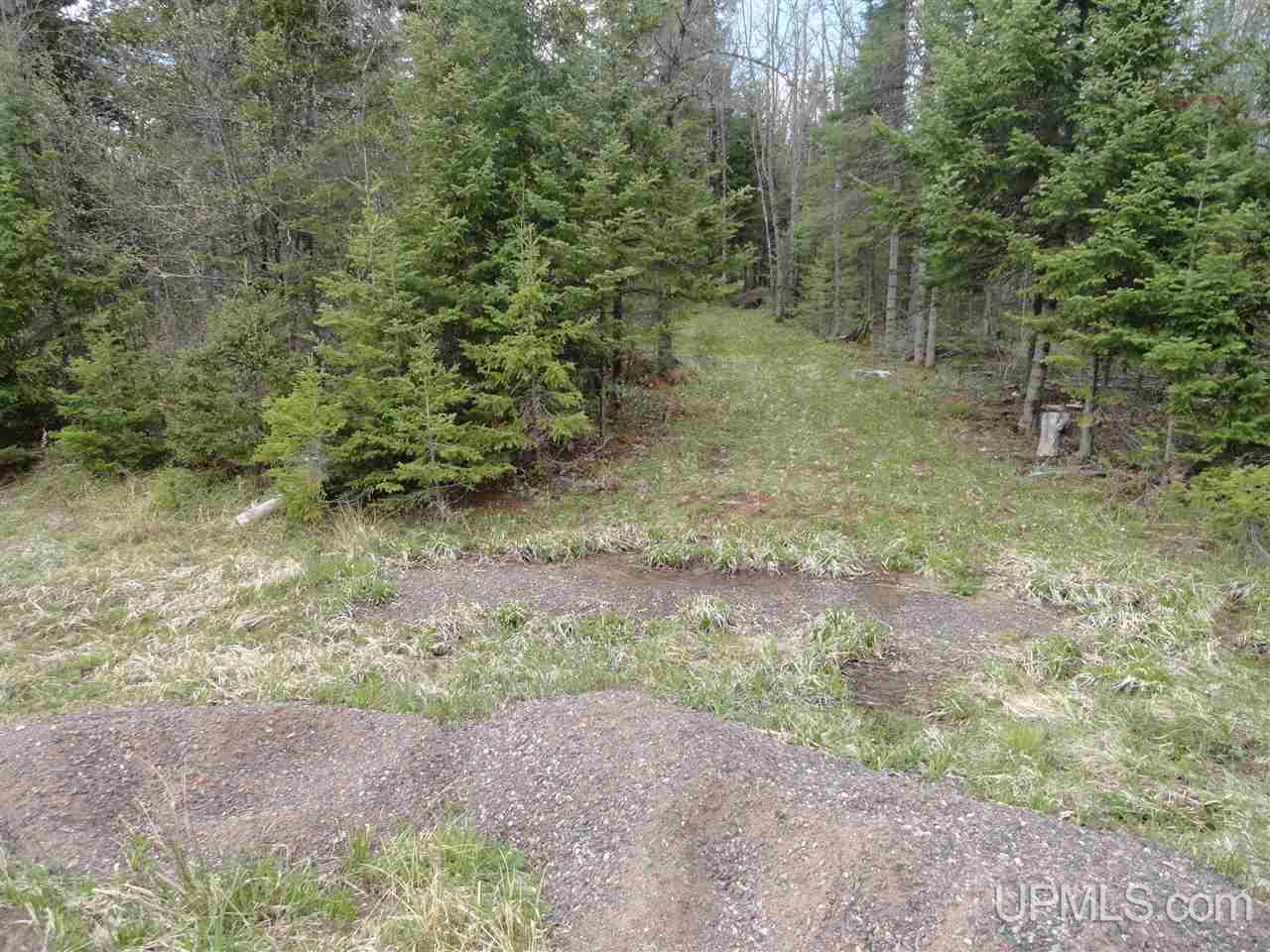 East Shore Road Marenisco, MI 49947 - Photo 6 of 12