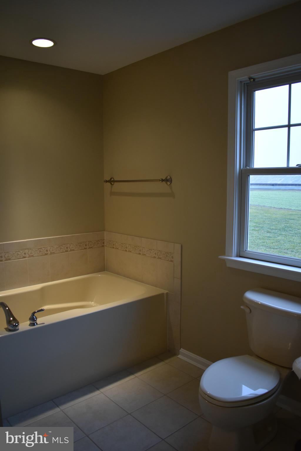 Soaking Tub Master Bath