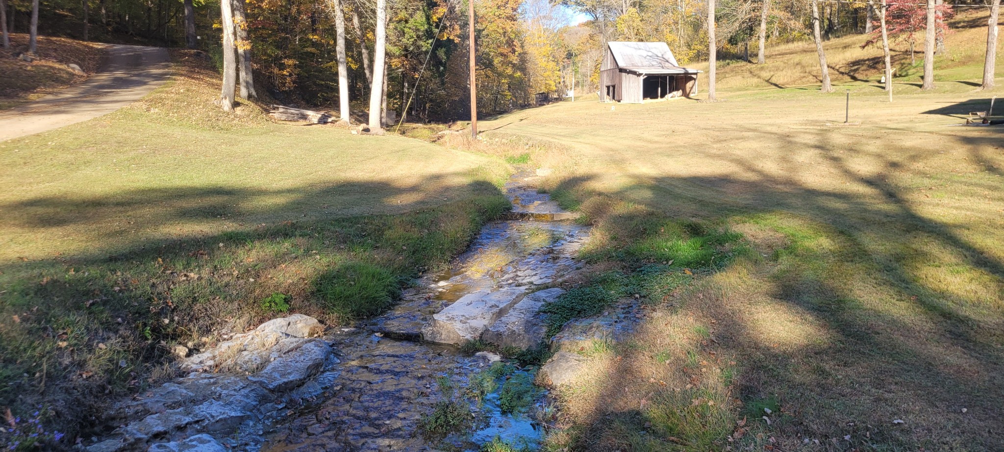 495 Shepherd Hollow Road Indian Mound, TN 37079 - Photo 6 of 30 a view of outdoor space yard and patio