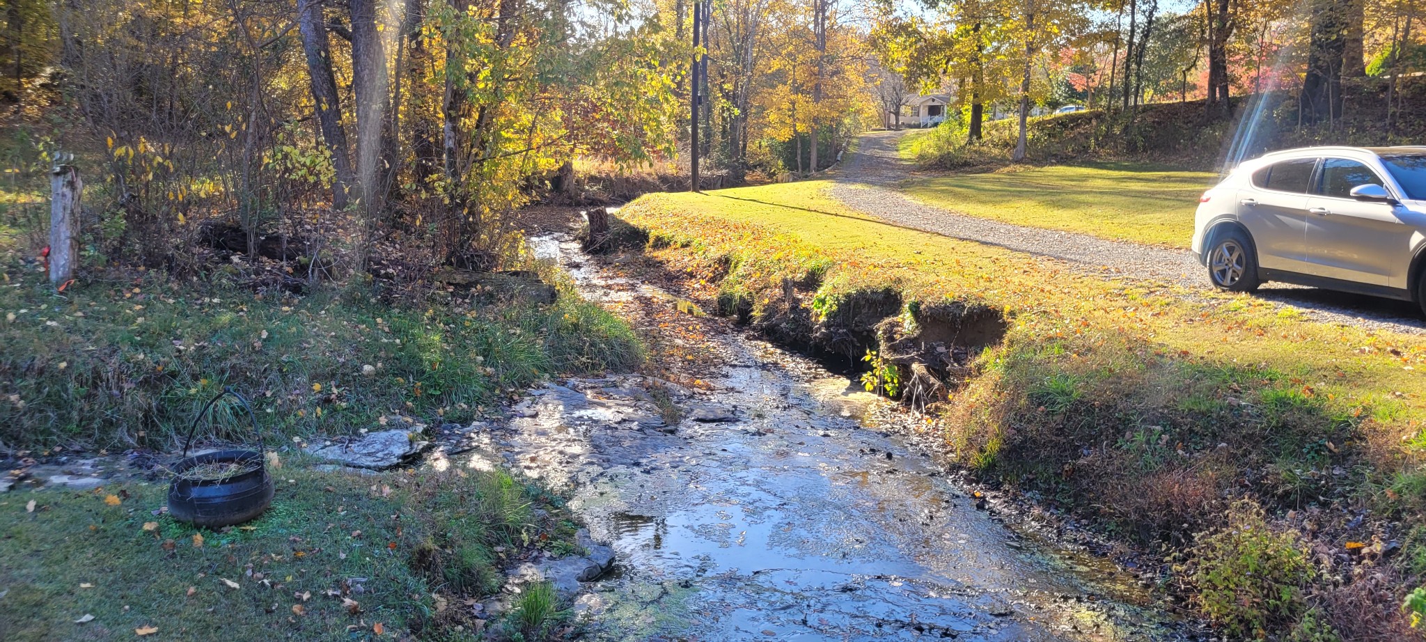 495 Shepherd Hollow Road Indian Mound, TN 37079 - Photo 10 of 30 a view of a backyard with swimming pool