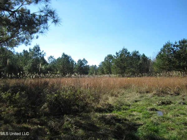 $68,000 | 310 County Road, Tiplersville, MS 38674