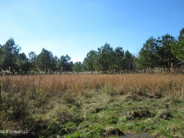$68,000 | 310 County Road, Tiplersville, MS 38674