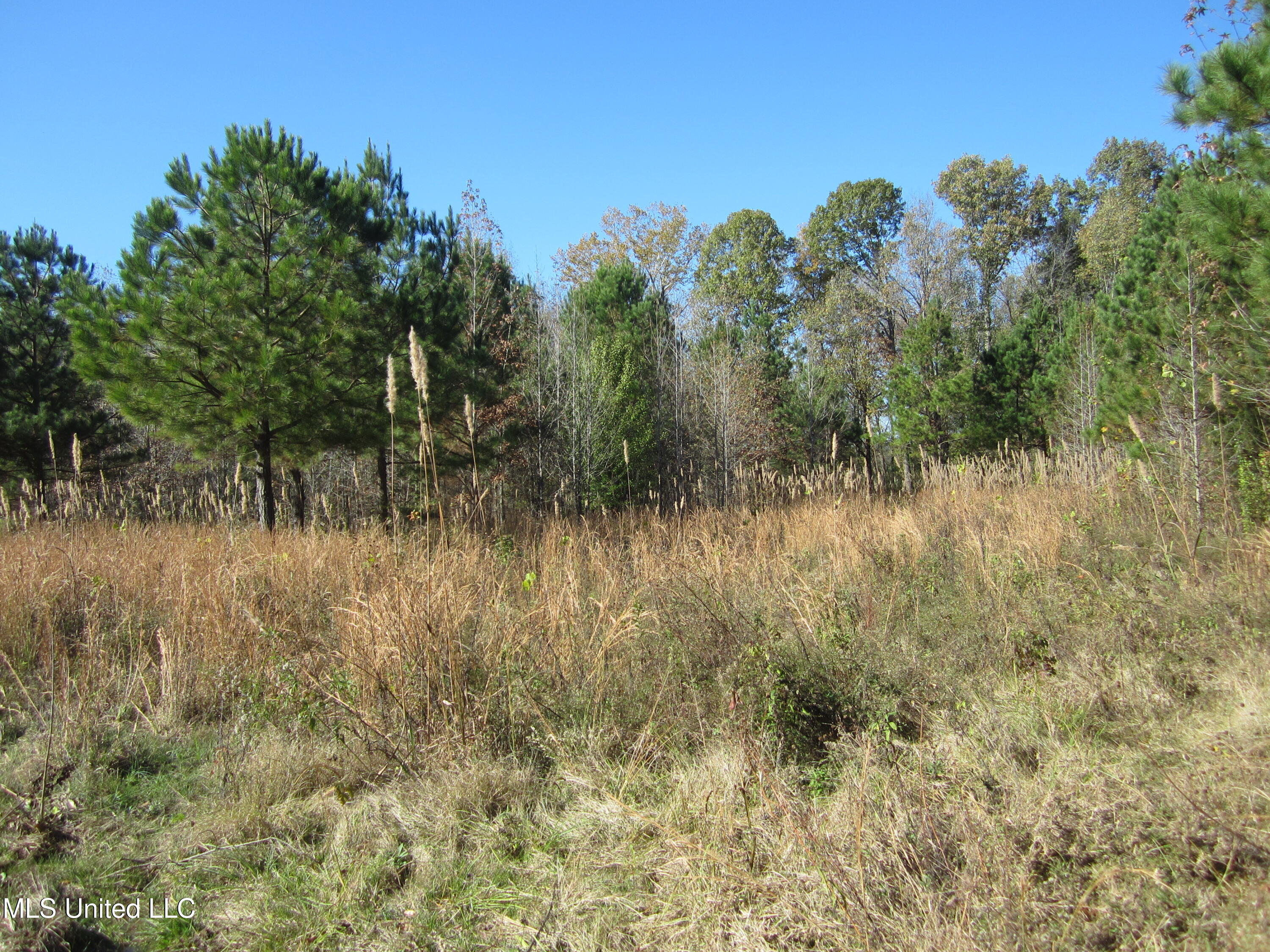 310 County Road Tiplersville, MS 38674 - Photo 14 of 15 IMG_7503