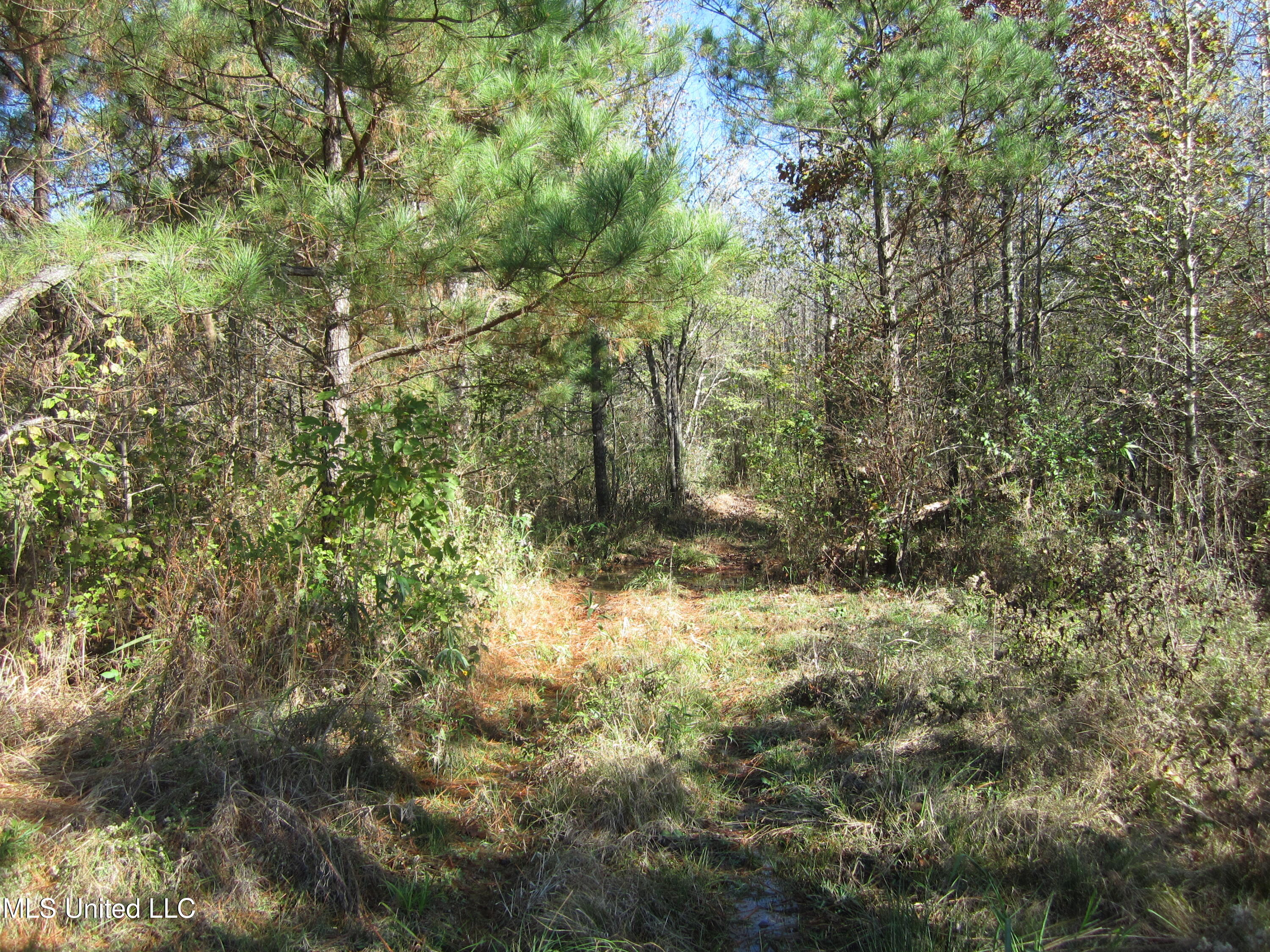 310 County Road Tiplersville, MS 38674 - Photo 15 of 15 IMG_7505