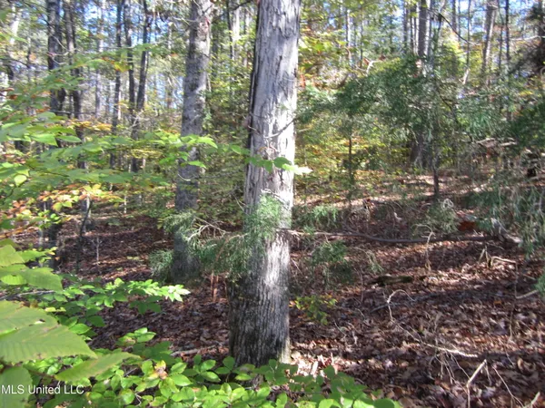 $68,000 | 310 County Road, Tiplersville, MS 38674