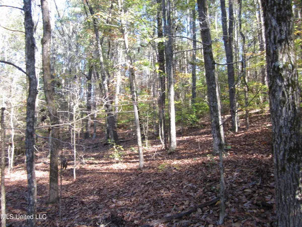 $68,000 | 310 County Road, Tiplersville, MS 38674