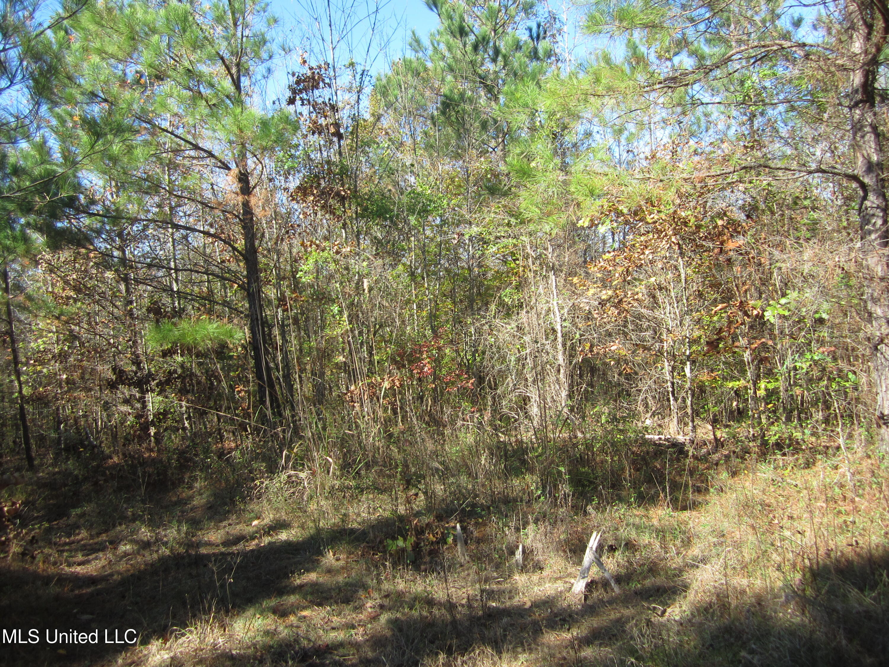 310 County Road Tiplersville, MS 38674 - Photo 10 of 15 IMG_7499